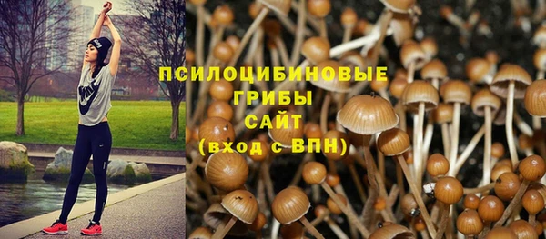 мяу мяу кристалл Осинники
