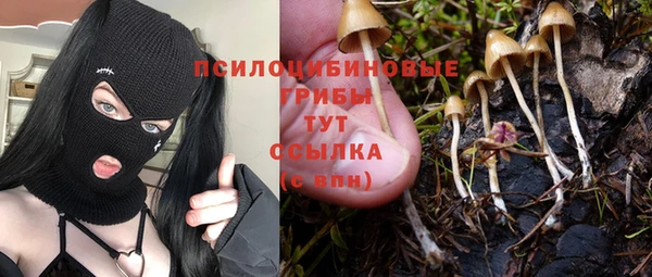 мяу мяу кристалл Осинники