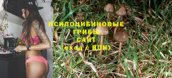 мяу мяу кристалл Осинники