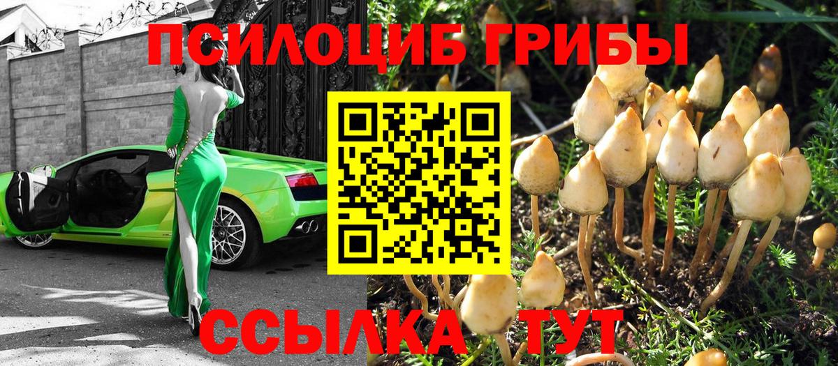 Галлюциногенные грибы Psilocybe  Вход с VPN  Сарапул  Галлюциногенные грибы Cubensis 