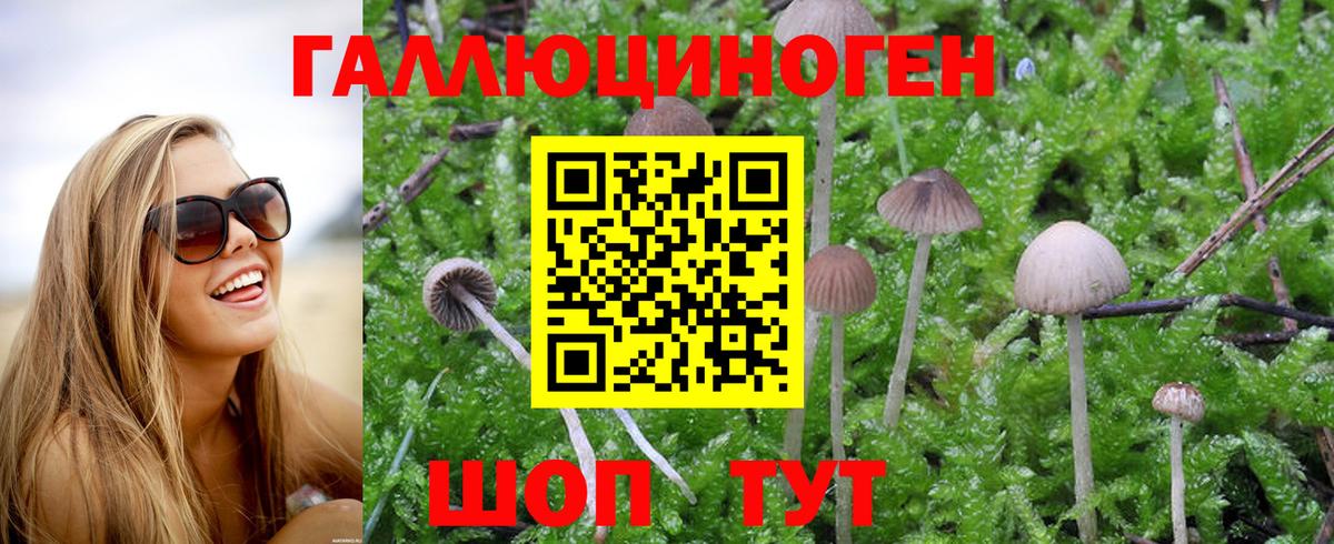 Галлюциногенные грибы Cubensis Сарапул